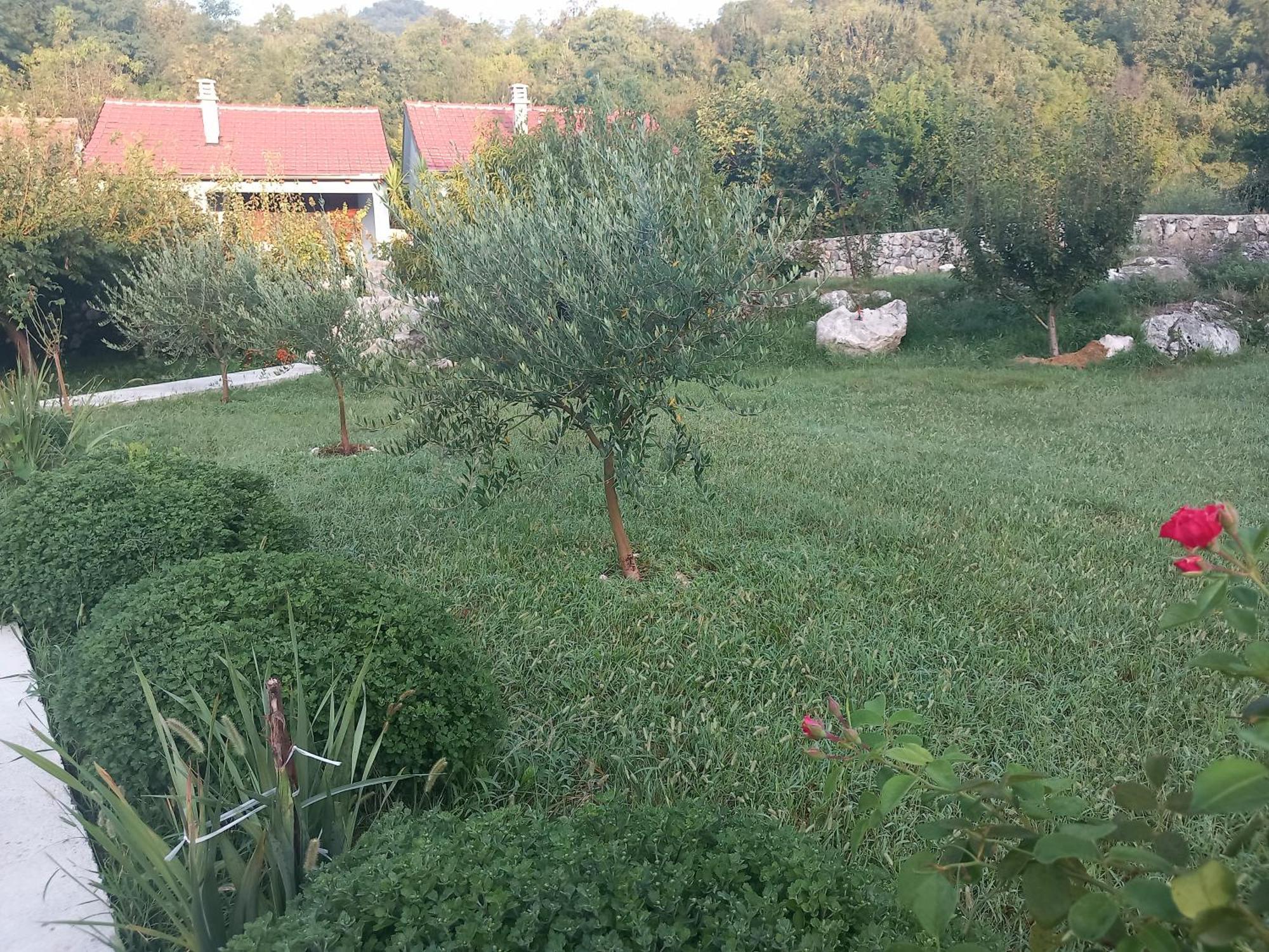 Rustic Village House 4 Rijeka Crnojevica Exterior photo